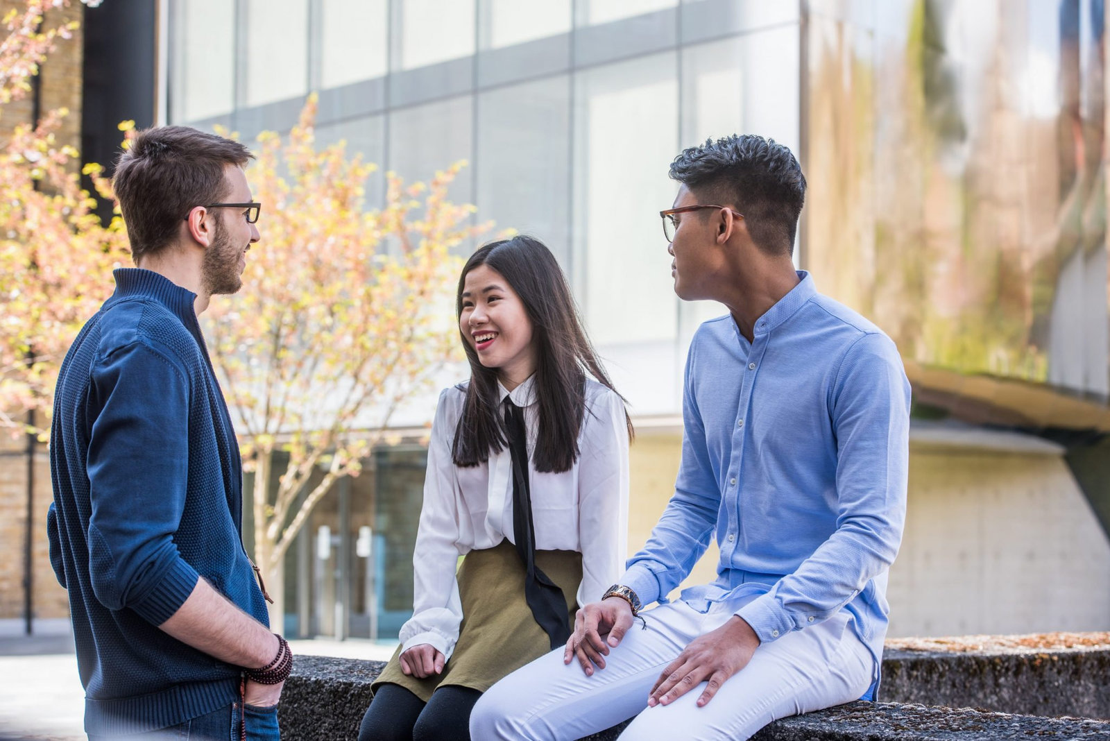 Leadership Excellence: Executive MBA in Business at Aura International