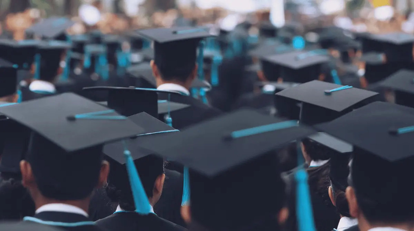 MBA vs. EMBA - Understanding the Differences